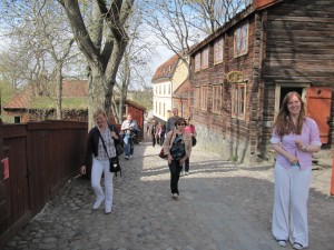 Skanseni vabaõhumuuseum Skanseni vabaõhumuuseum