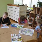 IMG 4813