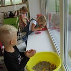 IMG 4811