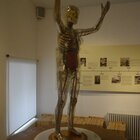 2019-09-24 161750- DSC7820