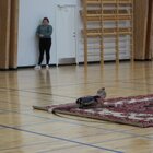 2021-09-22-10h05m32s819-vlcsnap