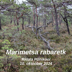 3. ja 7. klassi matk / õppekäik Marimetsa rabas 10. oktoobril