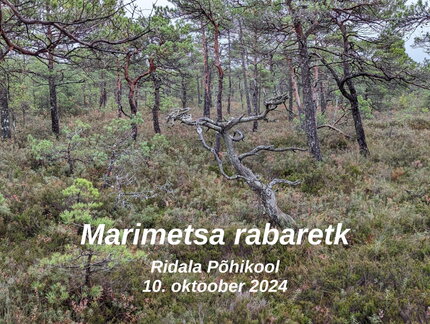 0 marimetsa tiitel